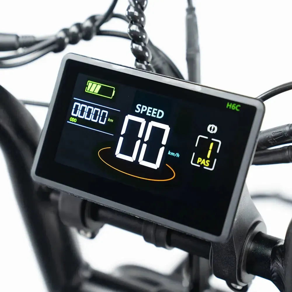 V20Pro 9.0 500 WATT + Achterzitje + Voetsteuntjes + Alarm